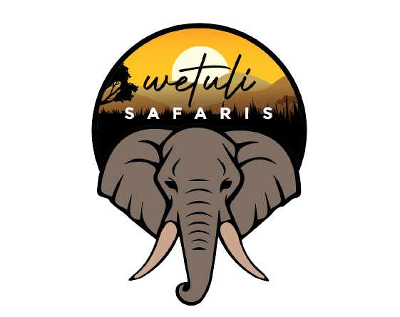 wetulisafaris